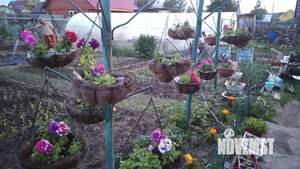 Дача 40м², 2-этажный, участок 6 сот.  