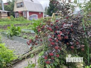 Дом 53м², 2-этажный, участок 5 сот.  