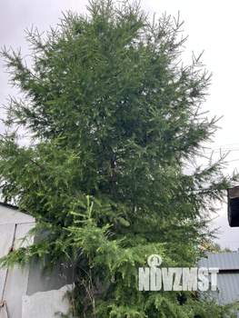 Дом 53м², 2-этажный, участок 5 сот.  