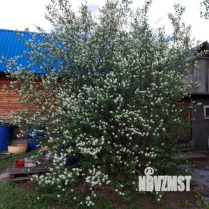 Дом 52м², 2-этажный, участок 5 сот.  