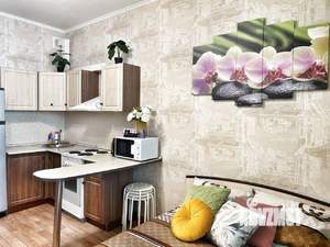 Студия квартира, посуточно, 29м2, 13/17 этаж