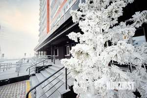 1-к квартира, посуточно, 46м2, 1/1 этаж